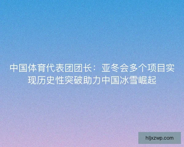 中国体育代表团团长：亚冬会多个项目实现历史性突破助力中国冰雪崛起